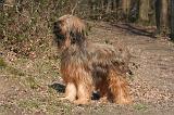 BRIARD 004
